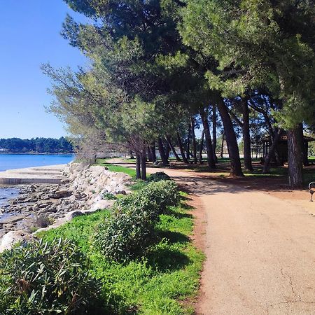 Novigrad Istria Apartments Novigrad מראה חיצוני תמונה