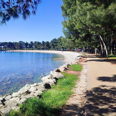 Novigrad Istria Apartments Novigrad מראה חיצוני תמונה