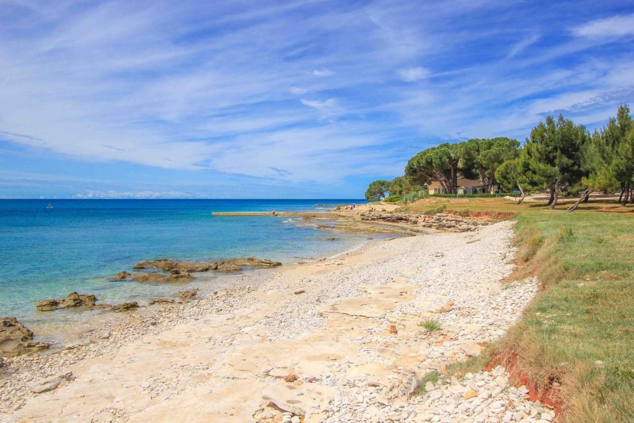 Novigrad Istria Apartments Novigrad מראה חיצוני תמונה